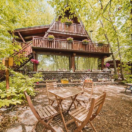 Matilde'S Chalet Etna Nature House Nicolosi Exterior photo