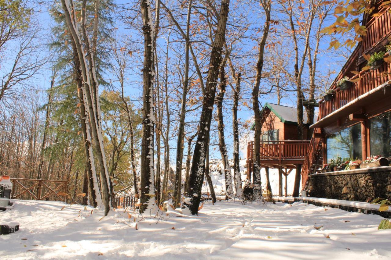 Matilde'S Chalet Etna Nature House Nicolosi Exterior photo